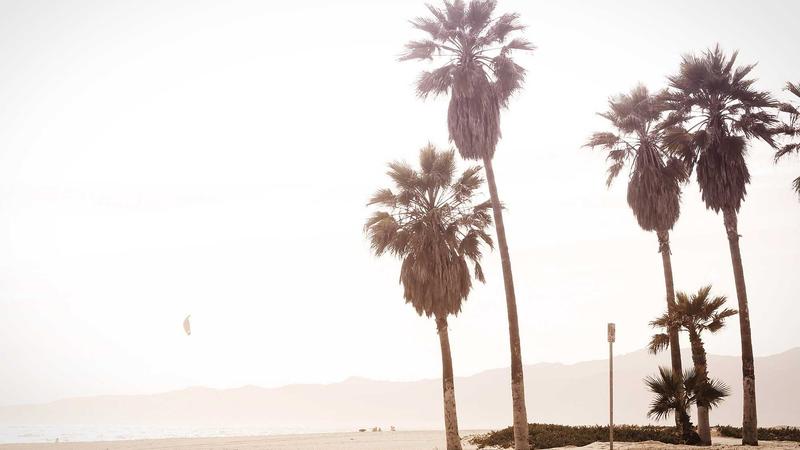 弹幕搜索界面中实时滚动的弹幕评论与搜索框交互特写
